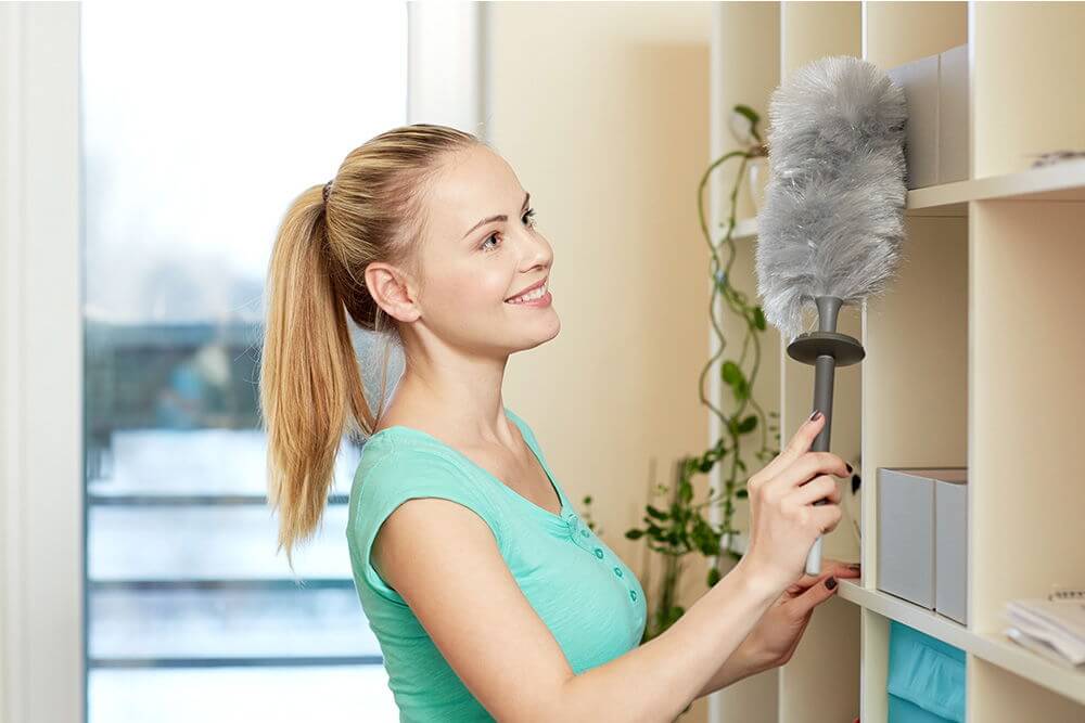 Upholstery Cleaning Watford WD1